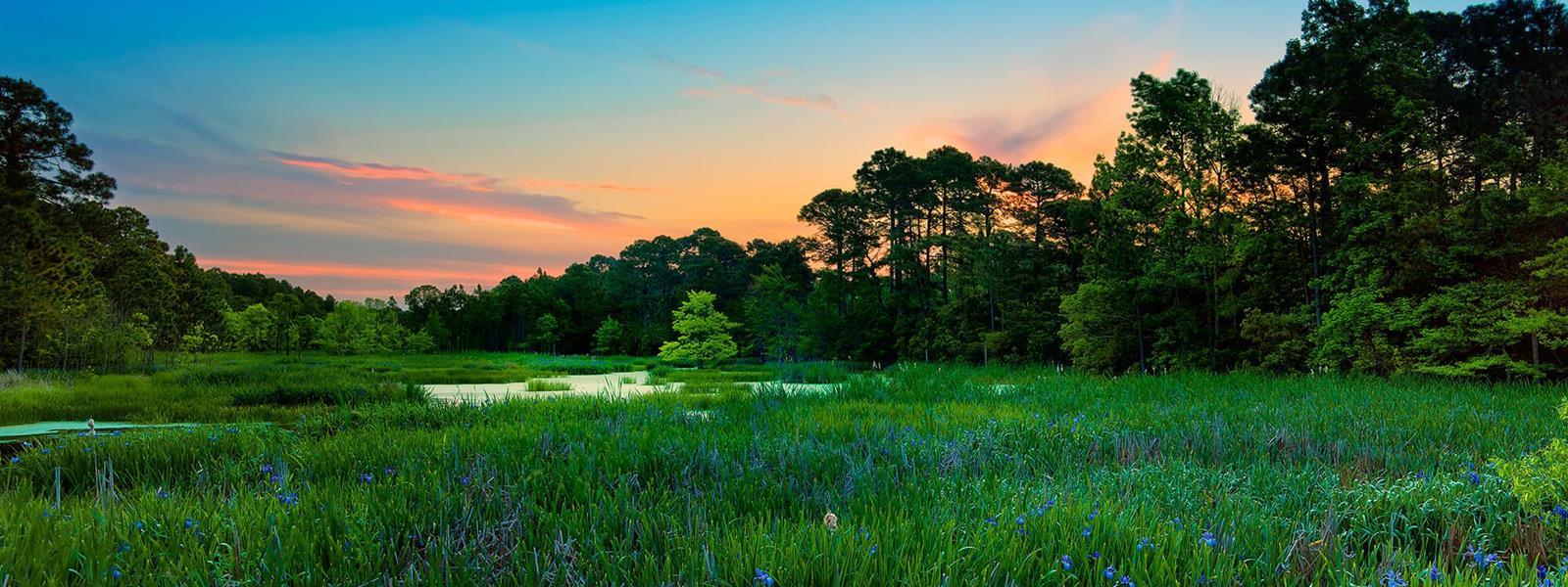 cupps-course-marsh-heritage-golf-collection-hilton-head-island-sc